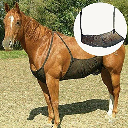 Guer Adjustable Horse Abdomen Net Outdoor Comfortable Fly Rug Mesh Elasticity Anti-scratch Protect Horse from mosquito Breathable Bite 0