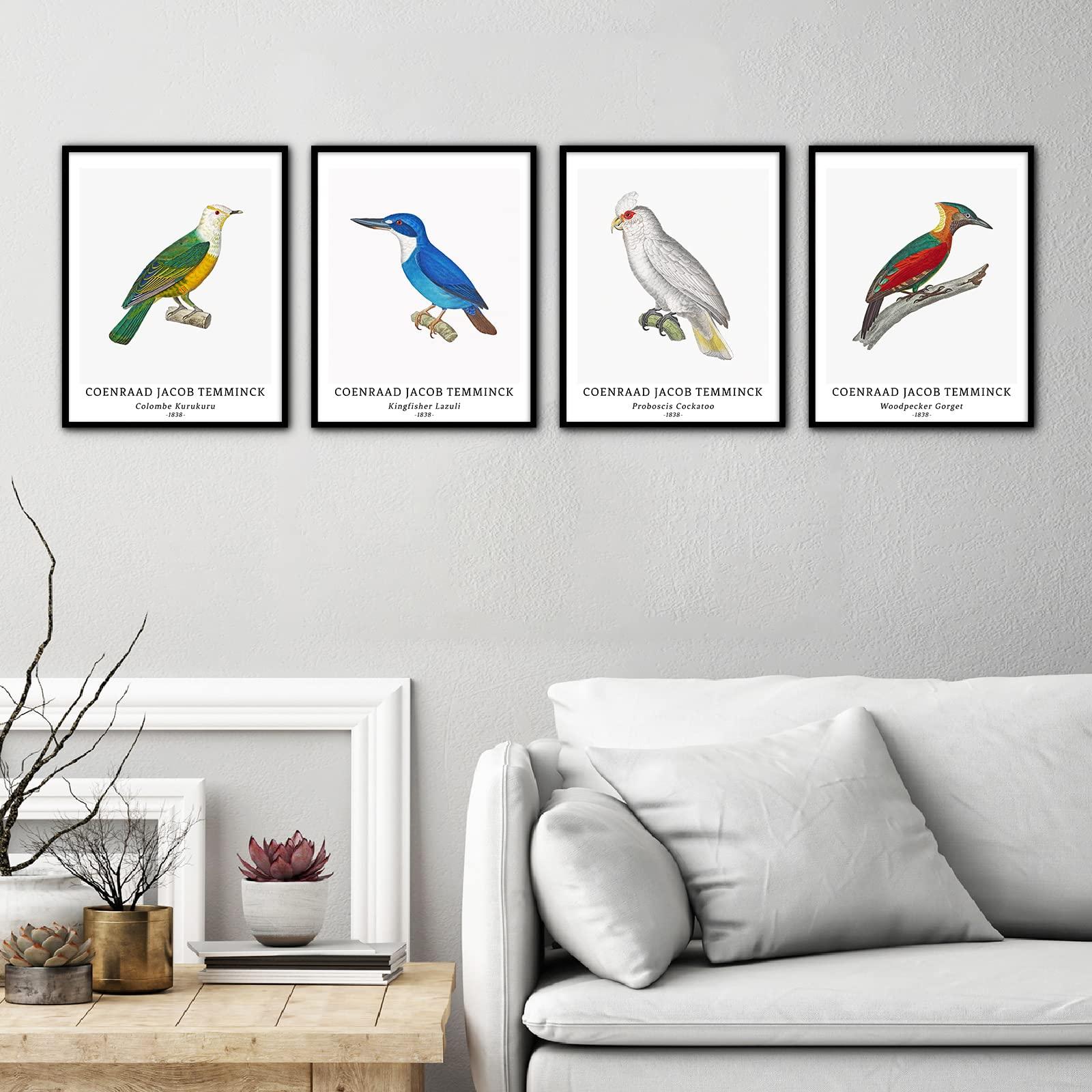 Wall Art Unframed Prints Giclee Art Paper Set of 4, 11x14 inch Classic Bird Artwork, Livingroom Decoration Vintage Elegant Animal Minimalist Illustrations Retro Coenraad Jacob Temminck Poster 3