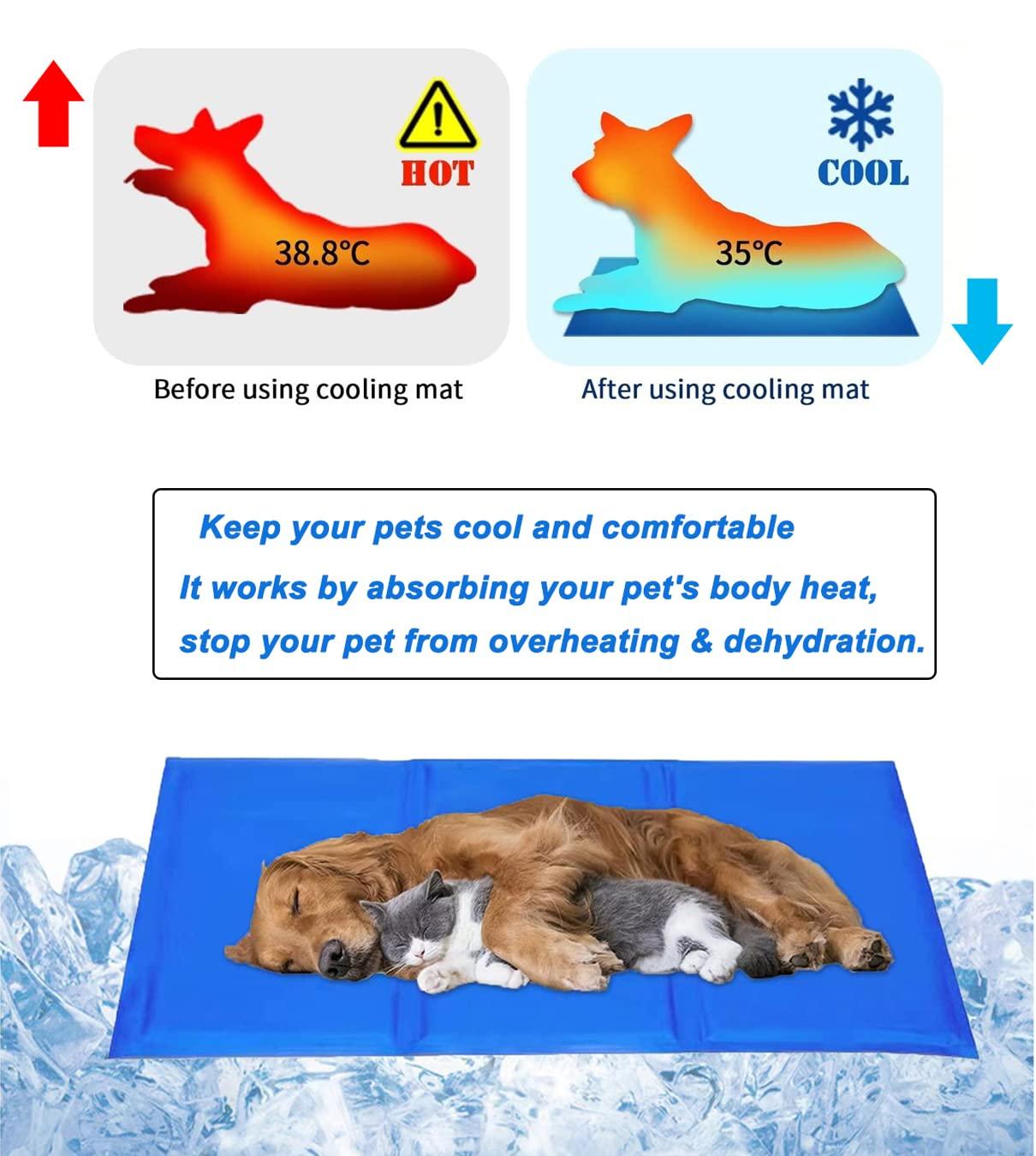 Pooshivvi Dog Cooling Mats, Pet Cooling Mat Gel Cooling Mat Pillow Cooling Pad Heat Absorbing Self Cooling Gel Mat for Dogs, Cats, Pets Summer Sleeping Mattress Accessories- 65 * 50 cm 1