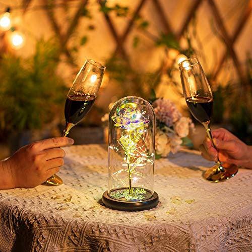 Beauty and the Beast Rose in Glass Dome Forever Rose Flower Kit Enchanted Light Best Gifts for Her Women Girls Adults Mums on Valentine, Mothers Day Wedding Anniversary Birthday 2