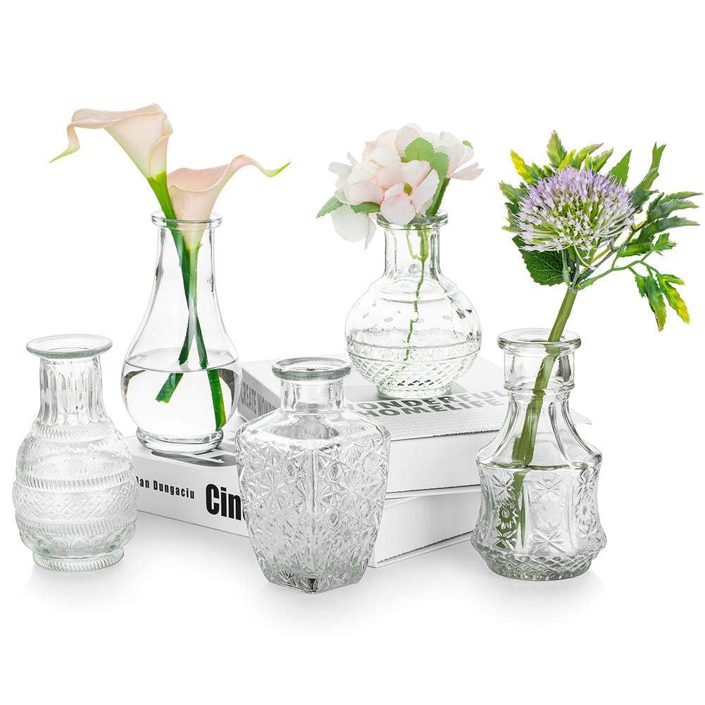 Glasseam Small Glass Flower Vase Vintage: Mini Bud Sweet Pea Vases Set of 5 Crystal Clear Rustic for Living Room Dining Table Wedding Centrepiece Indoor Bedroom Decoration