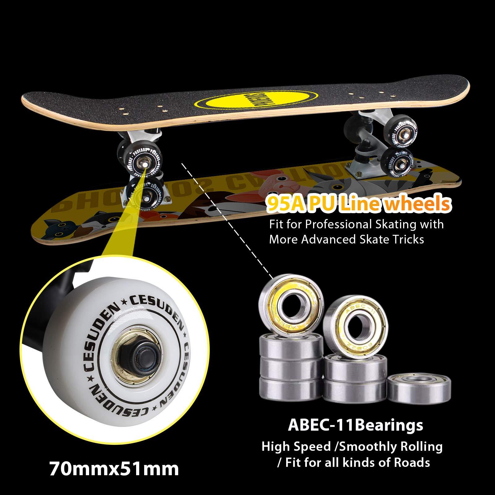 Cesulos Complete Skateboards- Standard Skateboards for Beginners Kids Boys Girls Teenager- 31''x 8''Canadian Maple Cruiser Pro Skate Board, Skateboards 8