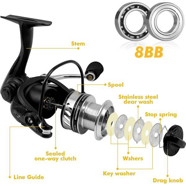 Ashconfish Fishing Reel, Freshwater and Saltwater Spinning Reel, Come with 109Yds Braid line. Lightweight Body, 5.0:1 Gear Ratio, 7+1 Steel BB, Max 17.6lbs Carbon Drag, Metal Spool &Handle,BF2000 3