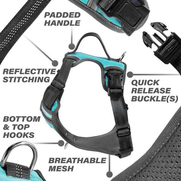 Black Rhino - Comfort Dog Harness with Mesh Padded Vest for Small - Large Breeds | Adjustable, Reflective | 2 Leash Attachments on Chest & Back - Neoprene Padded Training Handle | Small, Aqua-Green 1