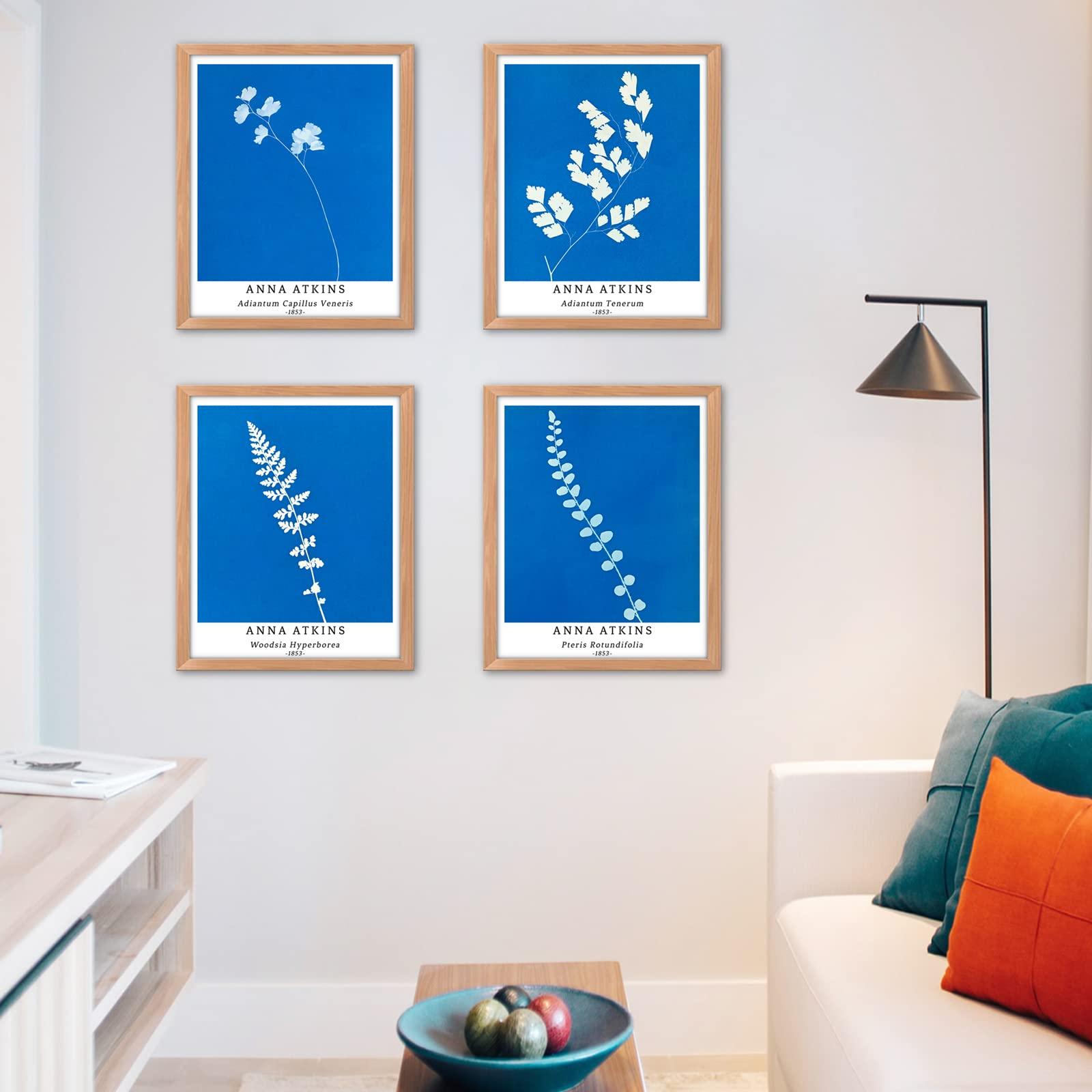 Berkin Arts Wall Art Unframed Prints Giclee Art Paper Set of 4, 11x14 inch Flower Artwork Medium Size, Livingroom Decoration Botanical Blue Minimalist Plant Illustrations Anna Atkins Posters 4