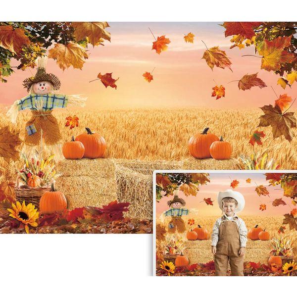Autumn Photography Background Fall Harvest Barn Party Backdrop Pumpkin Maple Leaf Hay Wooden Decor Baby Shower Cake Table Banner Photo Display Stand (8x6ft) 0