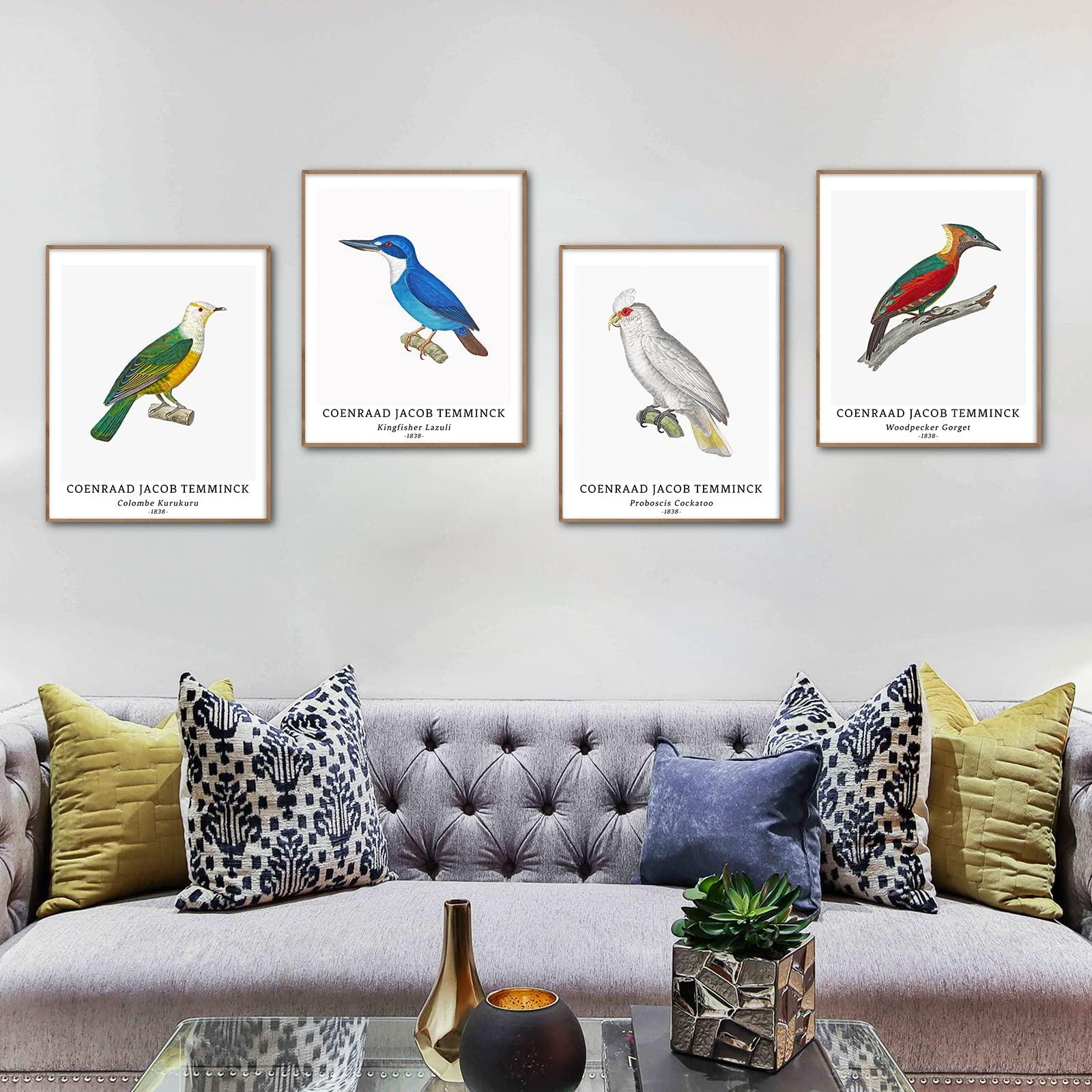 Wall Art Unframed Prints Giclee Art Paper Set of 4, 11x14 inch Classic Bird Artwork, Livingroom Decoration Vintage Elegant Animal Minimalist Illustrations Retro Coenraad Jacob Temminck Poster 7