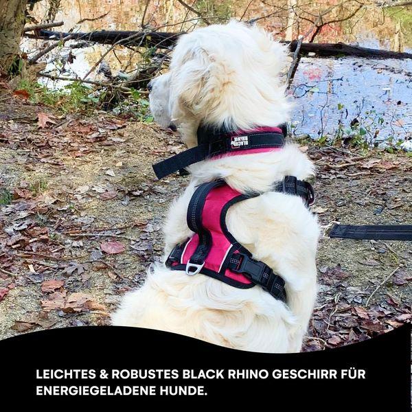 Black Rhino - The Comfort Dog Harness with Mesh Padded Vest for Small - Large Breeds | Adjustable | Reflective | 2 Leash Attachments on Chest & Back - Neoprene Padded Training Handle (Small, Red/Bl) 1