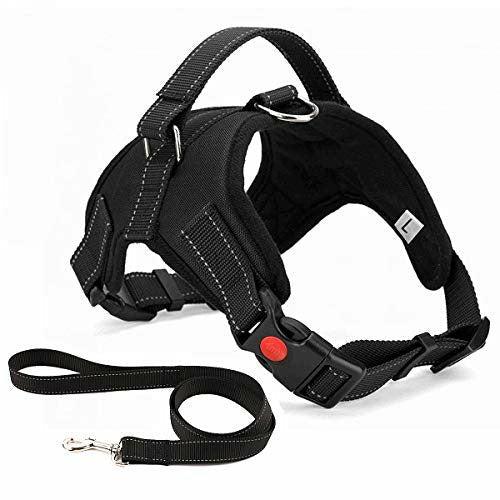 Musonic No Pull Dog Harness Breathable Adjustable Comfort Free Lead Included for Small Medium Large Dog, Best for Training Walking M Black 0