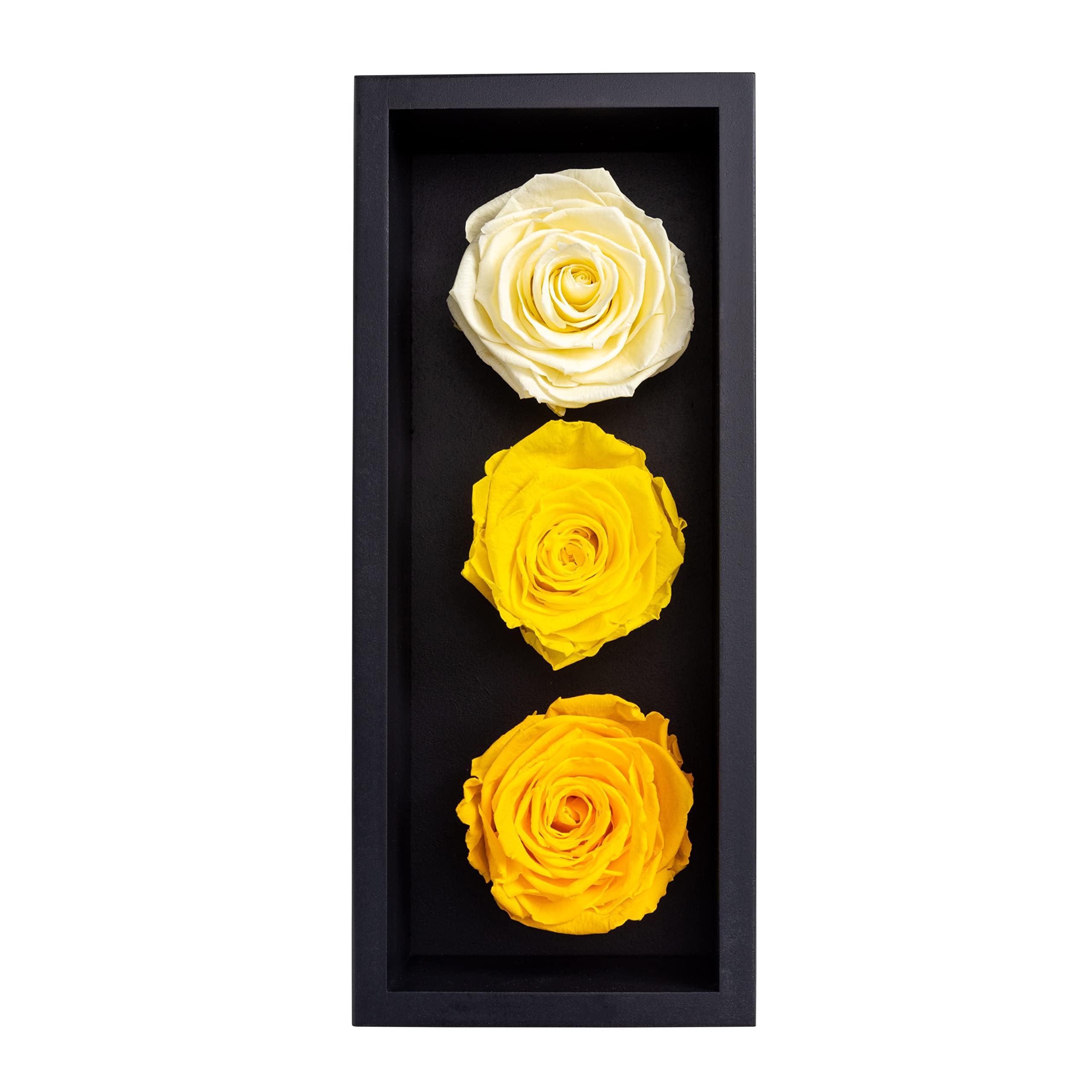 Khiva Graduation Preserved Roses in Wood Box, 3 Yellow Birthday Flowers for Delivery Prime, Everlasting Flowers, Natural Forever Roses That Last for Years, Eternal Rose, Gift Delivery for Mum 2