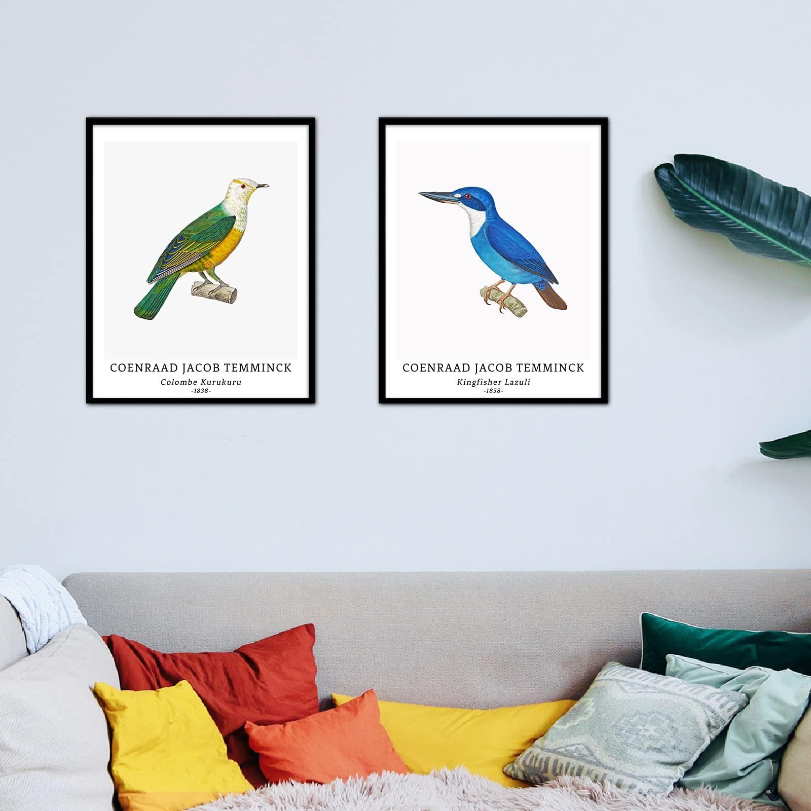 Wall Art Unframed Prints Giclee Art Paper Set of 4, 11x14 inch Classic Bird Artwork, Livingroom Decoration Vintage Elegant Animal Minimalist Illustrations Retro Coenraad Jacob Temminck Poster 9