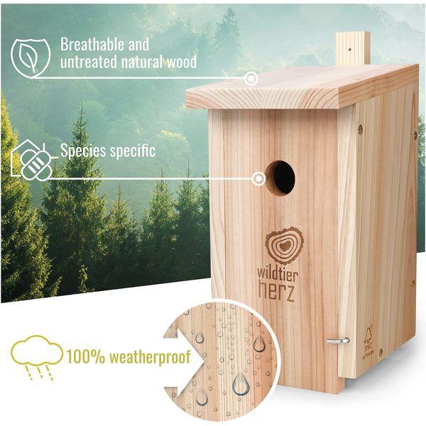 wildtier herz I Nesting Box for Cabbage Tits, Wild Birds - Weatherproof, Made from Untreated Wood - Birdhouse, Nesting House I Including Guide & Ground Calendar 1