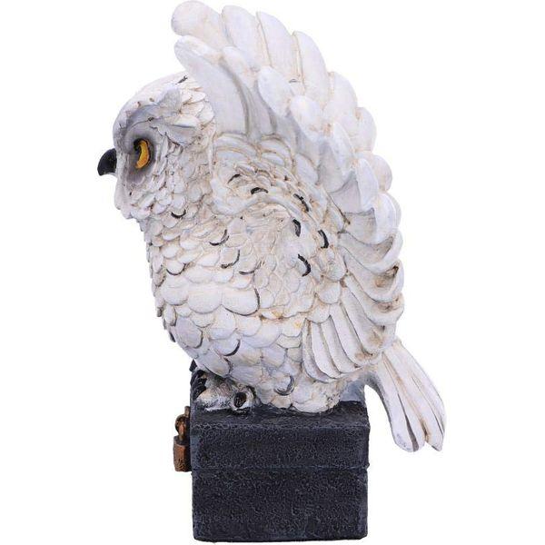 Nemesis Now Archimedes White Horned Owl Perched on a Locked Box Figurine, 12.5cm 1