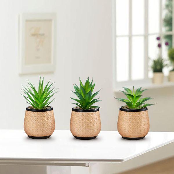 Joyvio Artificial Succulent Plants Potted, Small Fake Succulents in Ceramic Pots, Fake Plants Home Office Room Decor (3) 1