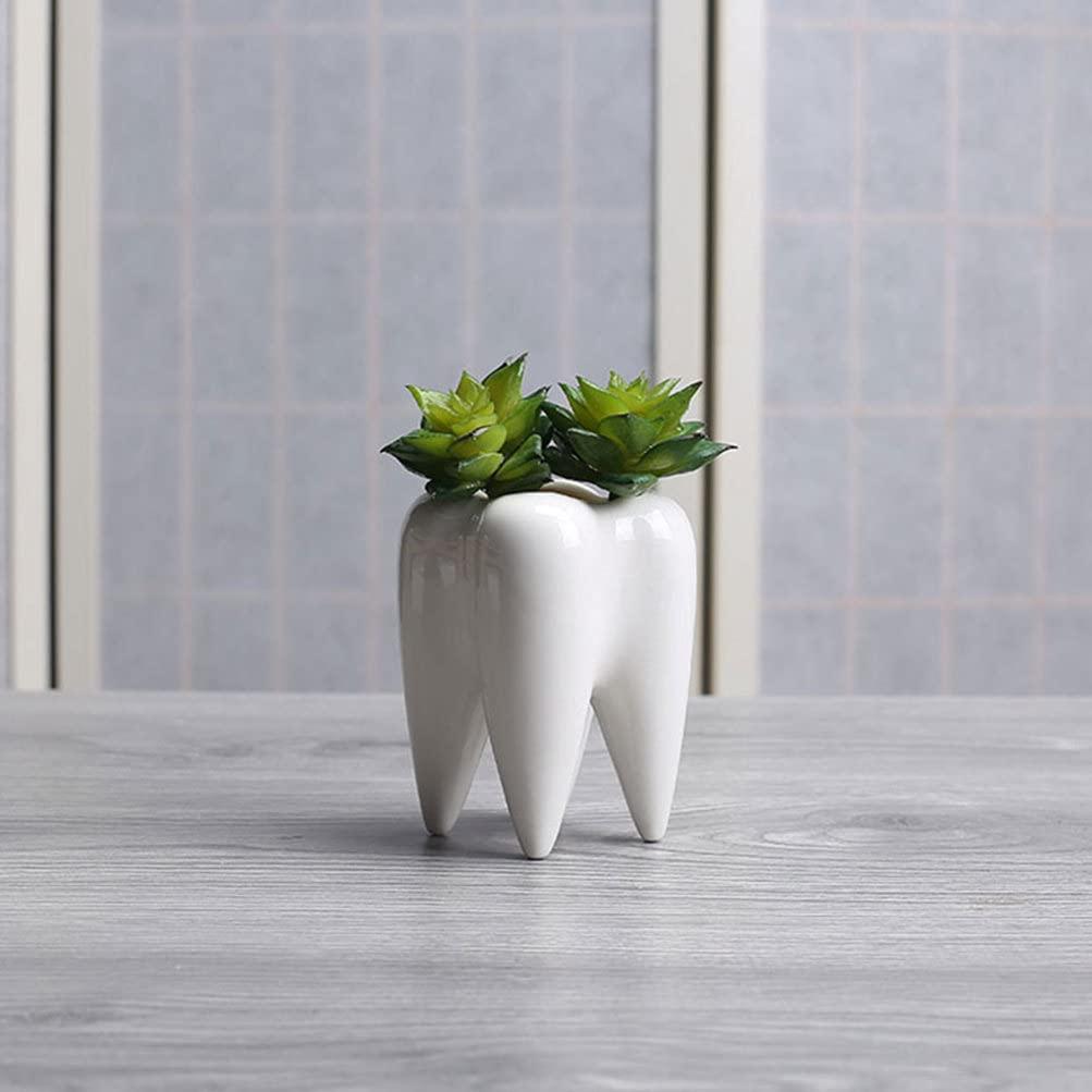 2Pcs Cute Tooth Shaped Ceramic Flower Pot Succulent Planter Pot Bonsai Plant Holder Cactus Container Plant Pen Holder for Home Office Decor White 1