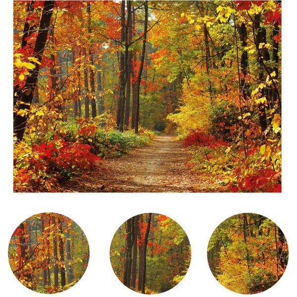 LYWYGG 8x6FT Autumn Backgroud Mountain Path Fallen Leaves Deciduous Landscape Autumn Backdrops Tree and Yellow Fall Leaves View Party Decorations Background Studio Props CP-67-0806 2