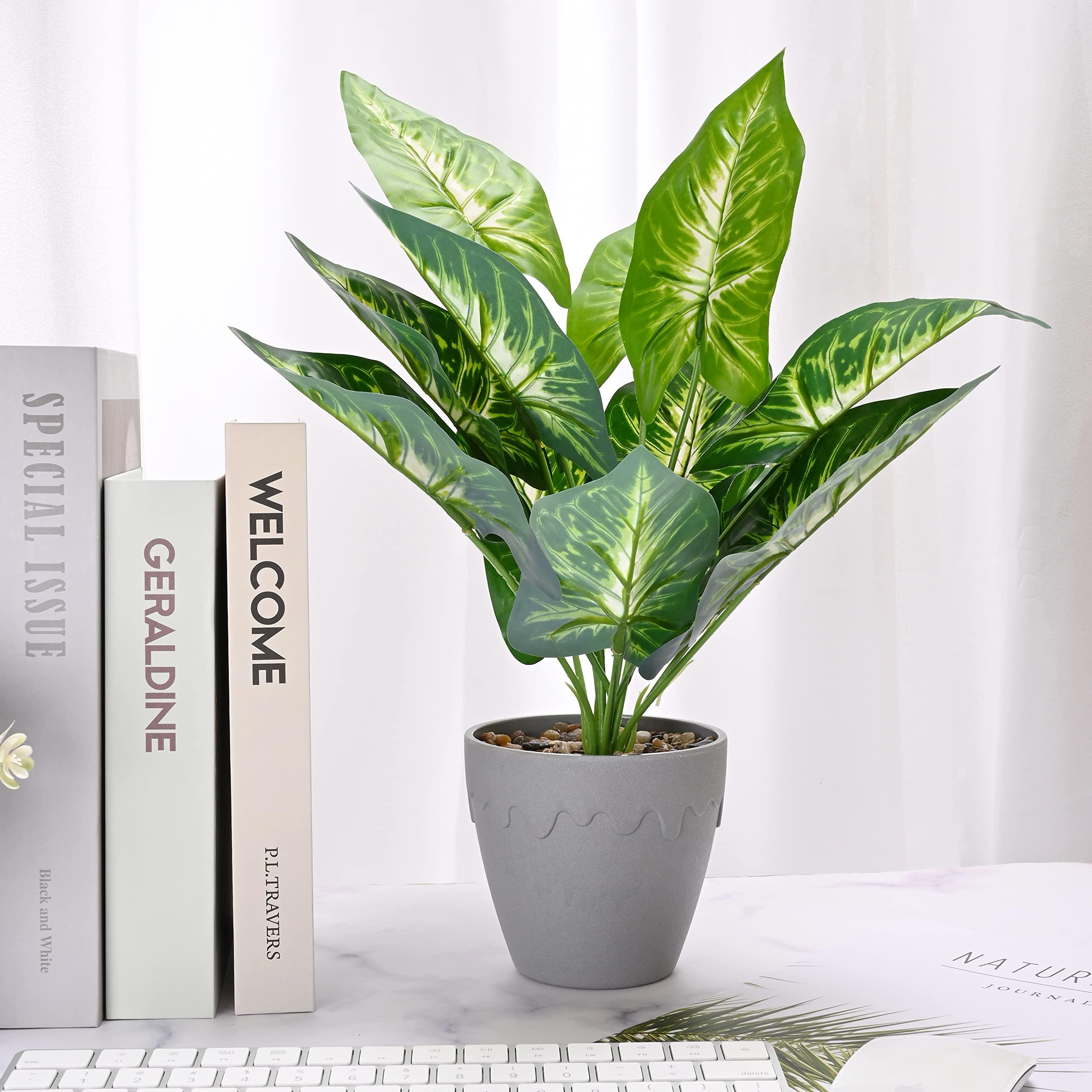 Yorkmills Fake Plants in Pot Artifical Plants Indoor Artificial Potted Plant for Bedroom Faux Plants Calathea Orbifolia Monstera Deliciosa Greenery Cheese Plants 3