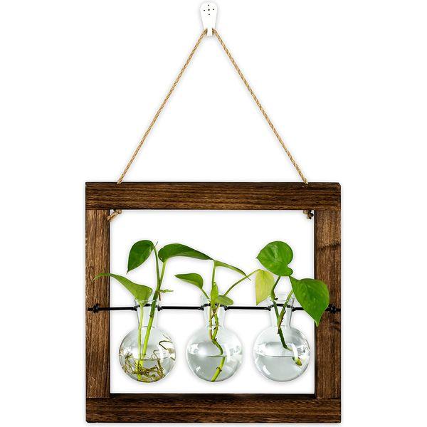 Hanging Propagation Station for Plants Wall Planter Indoor Vintage Wall Bulb Vase for Flowers with Wooden Frame for Aethetic Room Decor Home Office Accessories 0