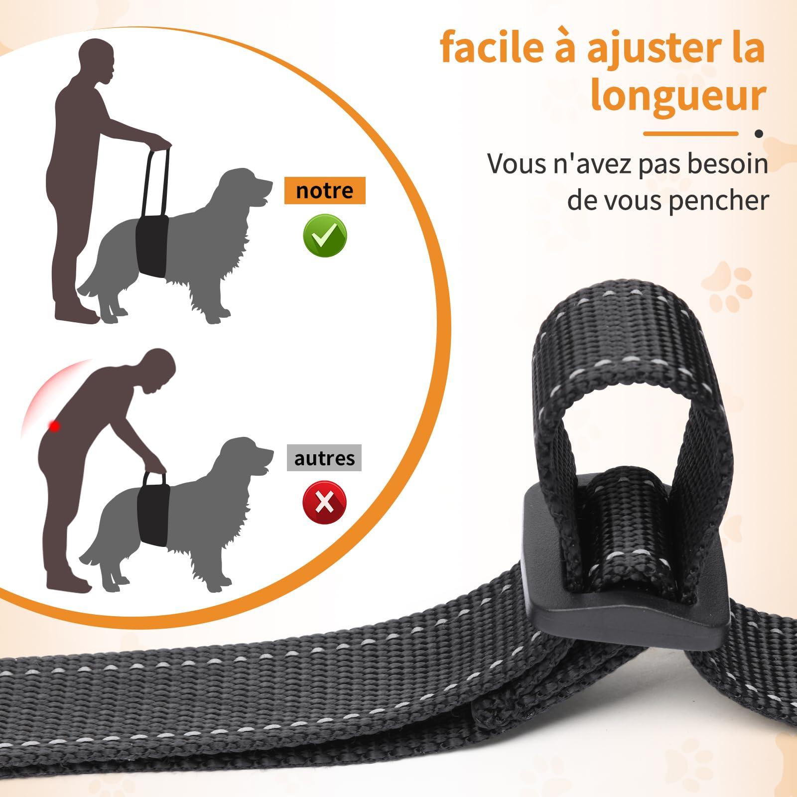 Dog Harness Dog Carrying Aid Adjustable Walking Aid Dog Stairs Dog Rear Lift Support Harness Small, Medium and Large Dog Rehabilitation Carry Strap for Back Main Intake Osteoarthritis 1