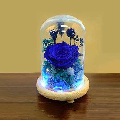 Warmiehomy Glass Cloche Bell Jar Dome with Wood Base + Lights (With colorful light, 12x20cm) 0