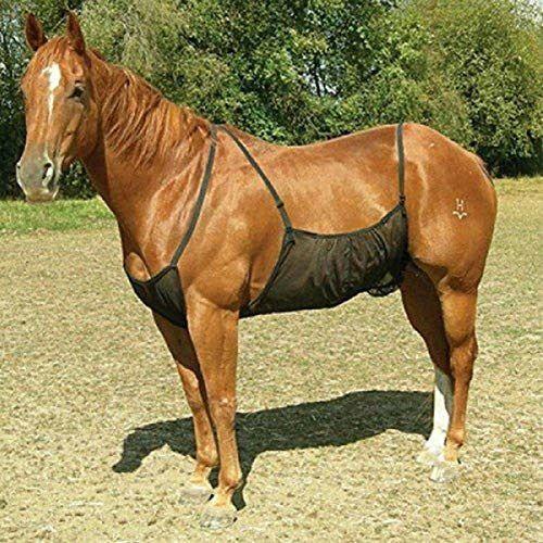 Guer Adjustable Horse Abdomen Net Outdoor Comfortable Fly Rug Mesh Elasticity Anti-scratch Protect Horse from mosquito Breathable Bite 4
