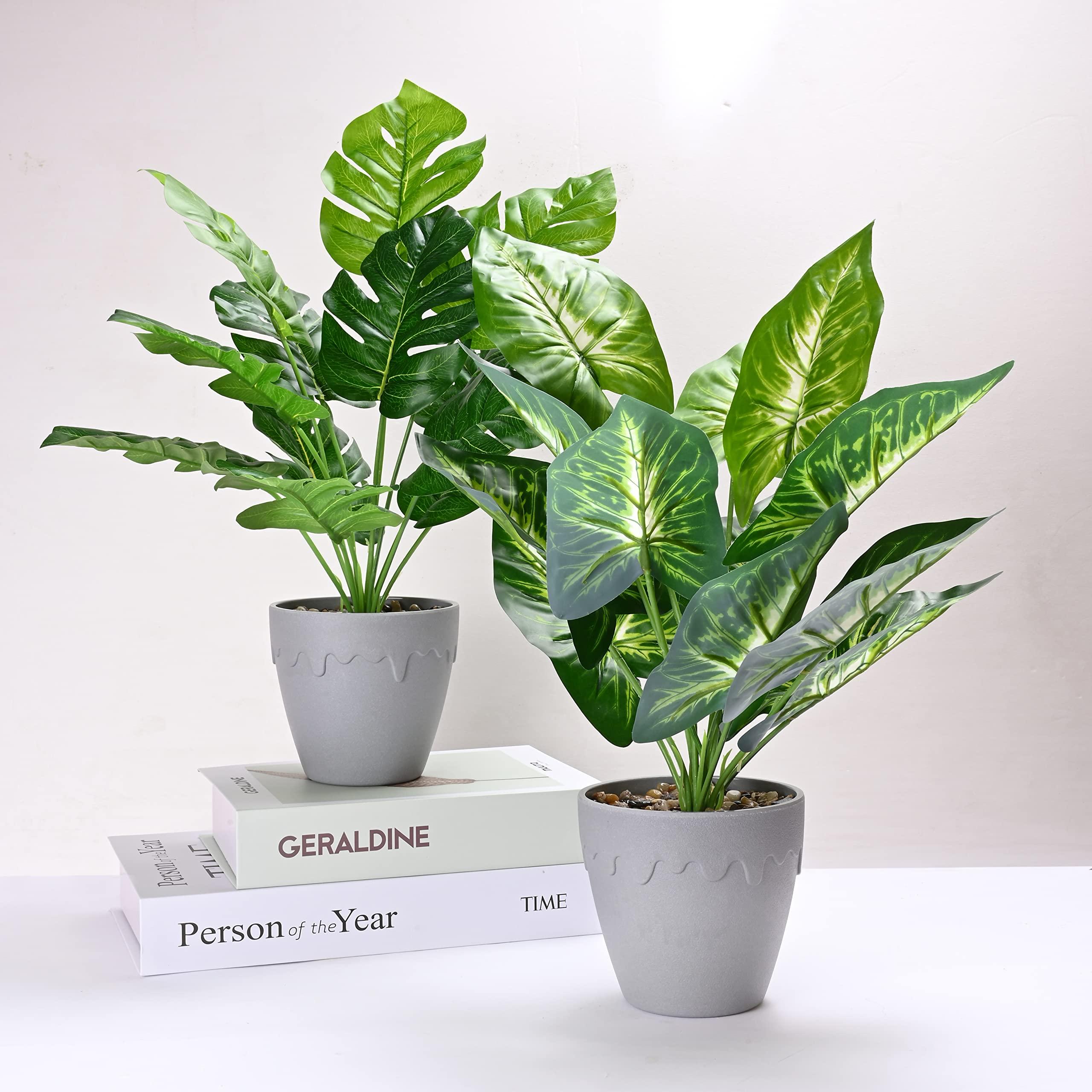 Yorkmills Fake Plants in Pot Artifical Plants Indoor Artificial Potted Plant for Bedroom Faux Plants Calathea Orbifolia Monstera Deliciosa Greenery Cheese Plants 2