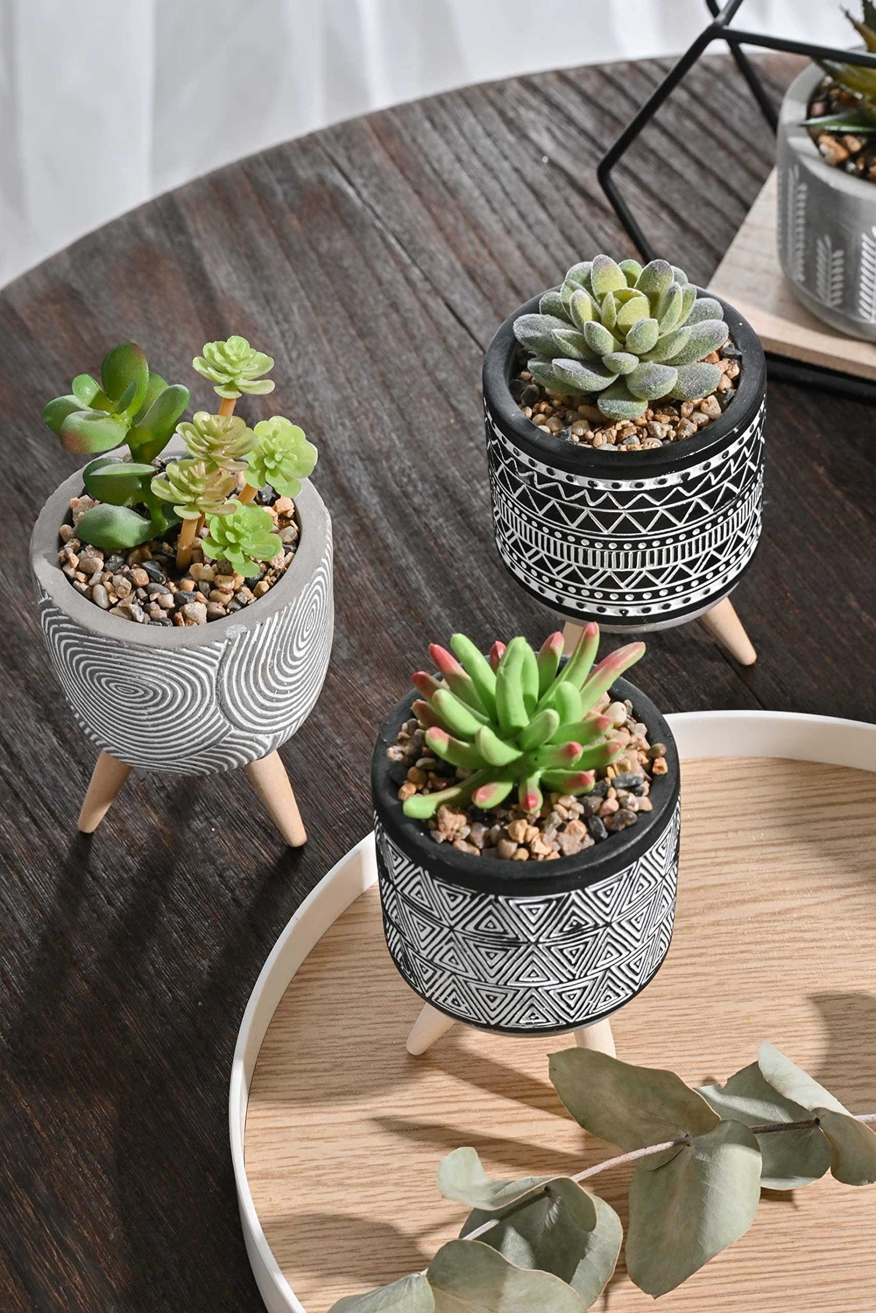 TERESA'S COLLECTIONS Artificial Succulent Plant in Pot Set with Stand, Set of 3 Small Fake Plants Indoor Planter Pots for Bathroom, Gifts, Spring Decor, Home Decor, H16.5cm, Gift for Home Decoration 4