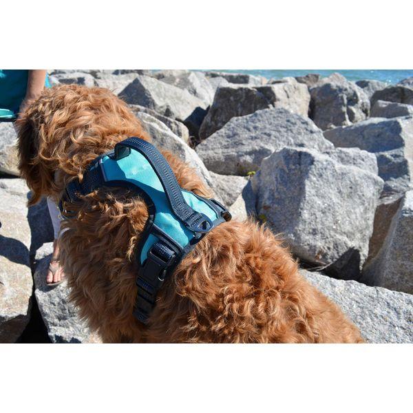 Black Rhino - Comfort Dog Harness with Mesh Padded Vest for Small - Large Breeds | Adjustable, Reflective | 2 Leash Attachments on Chest & Back - Neoprene Padded Training Handle | Small, Aqua-Green 3