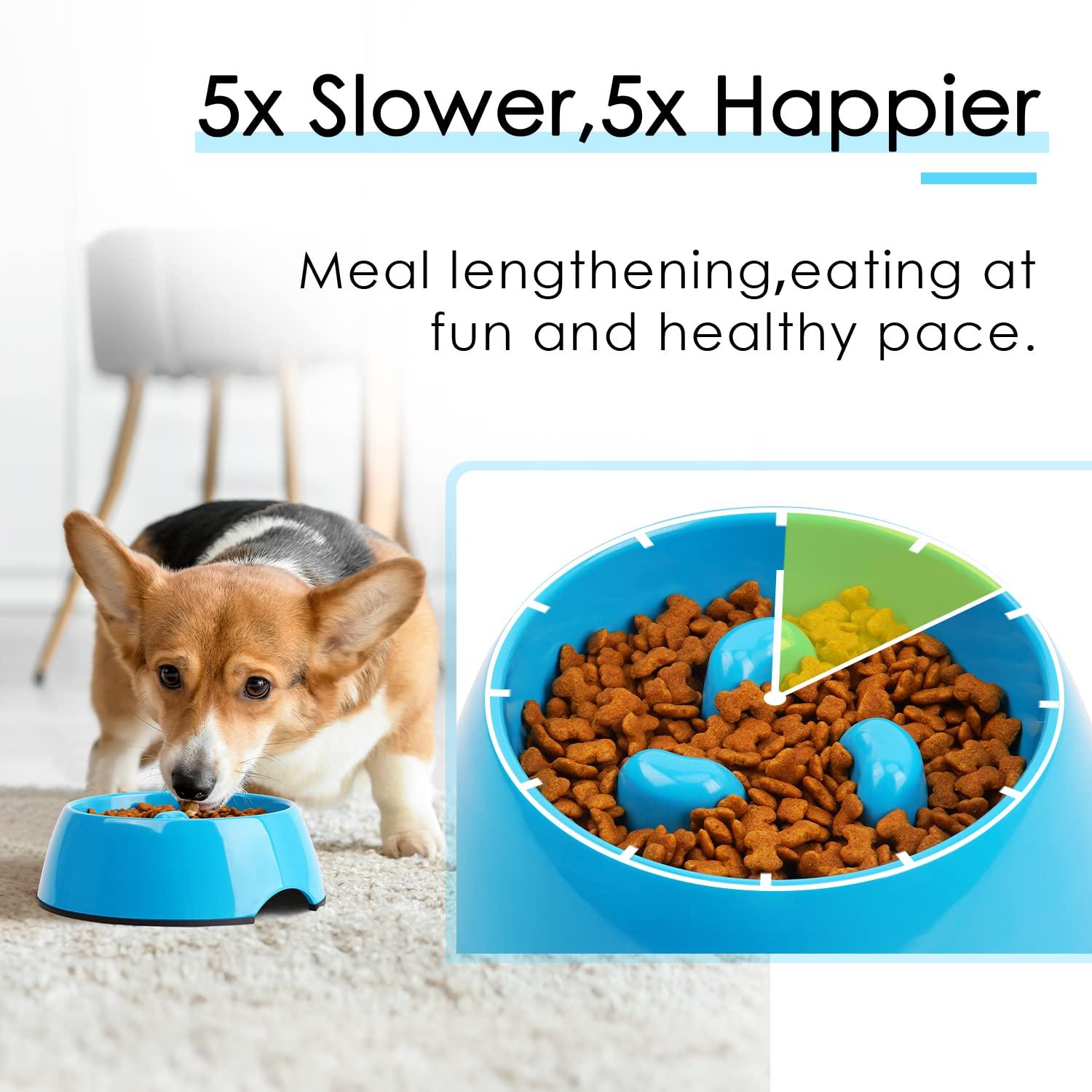 SUPER DESIGN Gobble-Stop Slow Feeder Dog Bowl Slow Eating Anti-Gulp BPA Free Melamine Bowl Fun Interactive Pet Bowl for Dogs Cats Puppies (600ml, TRI) 2