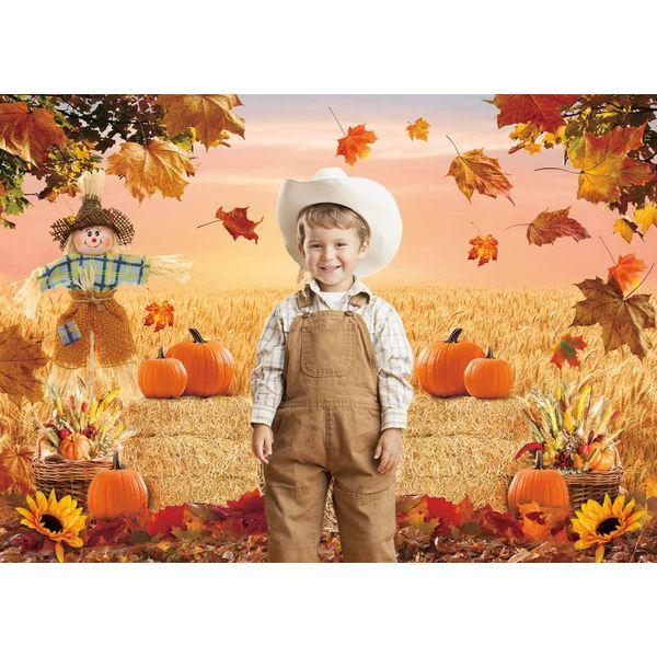 Autumn Photography Background Fall Harvest Barn Party Backdrop Pumpkin Maple Leaf Hay Wooden Decor Baby Shower Cake Table Banner Photo Display Stand (8x6ft) 2