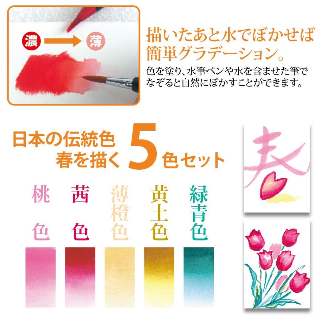 Akashiya Fude Brush Pen Sai, 5 Spring Color Set (CA200/5VA) 2