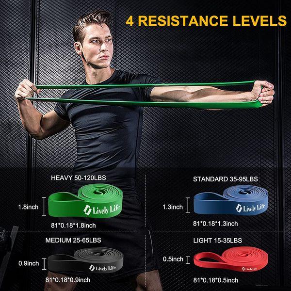 Lively Life Pull Up Resistance Band Set [4 Pack], Heavy Fitness Exercise Band for Men Women, Home Workout Resistance Bands for Yoga, Pilates, Crossfit, Assisted Pull Ups, Stretching Strength 3