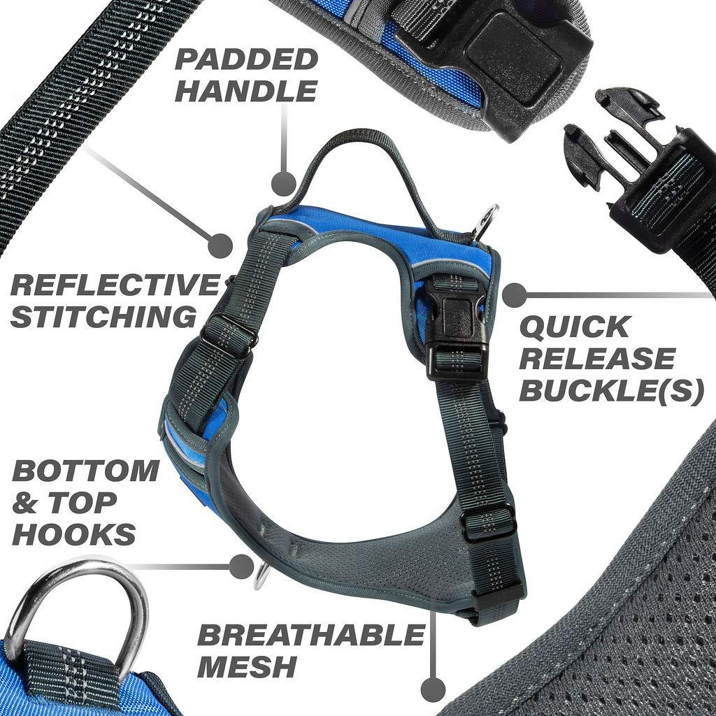 Black Rhino - The Comfort Dog Harness with Mesh Padded Vest for Small - Large Breeds | Adjustable | Reflective | 2 Leash Attachments on Chest & Back - Neoprene Padded Training Handle (Small, Blue/Gr) 1