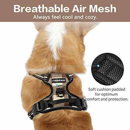 rabbitgoo Dog Harness No Pull, Adjustable Dog Walking Chest Harness with 2 Leash Clips, Comfort Padded Dog Vest Harness w/ Easy Handle, Reflective Front Body Harness for X-Large Breeds, Beige, XL 1