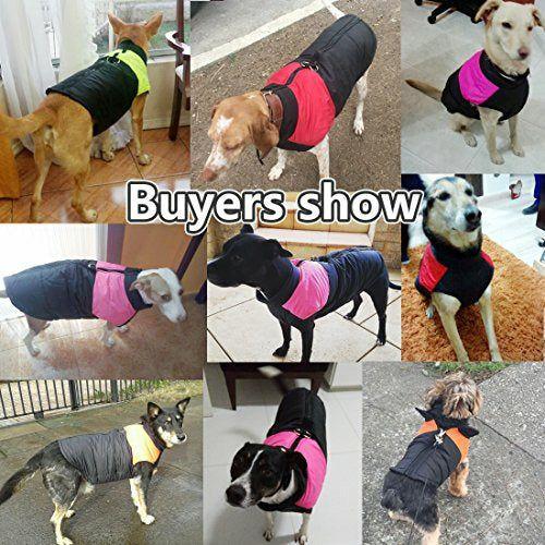 Idepet(TM Pet Dog Winter Coat Waterproof Clothes for Small Medium large Pet Dog Cat Size S M L XL XXL 3XL 4XL 5XL (M, Red) 2