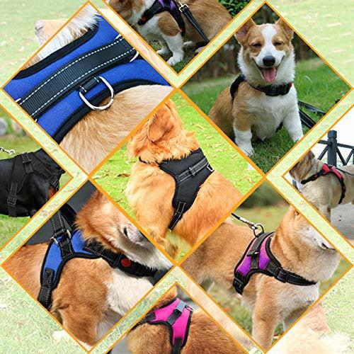 Musonic No Pull Dog Harness Breathable Adjustable Comfort Free Lead Included for Small Medium Large Dog, Best for Training Walking M Black 1
