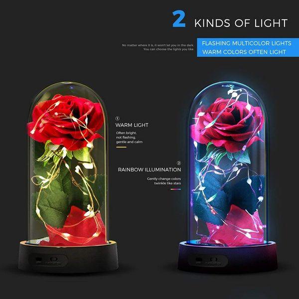 Beauty and the Beast Rose Kit, Enchanted Rose Red Silk Rose with 7 Colors LED Light in Dome, for Valentine Gift, Wedding, Anniversary, Birthday Gift, Christmas Day 2