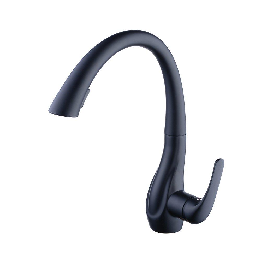 Beelee BL1749B Professional Single Lever Painting Black Pull Out Sprayer Kitchen Taps, Commercial Deck Mounted Kitchen Pull Down Taps 5