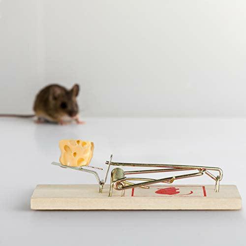 Relaxdays Set of 12 Mousetraps Classic Mice Trap Reusable No Poison Animal Trapping Metal Hanger Wooden Natural 1