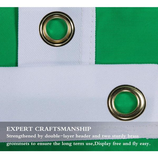 FLAGBURG Ireland Flag 2x3 FT, 2 Pack Irish Flags with Sewn Stripes (Not Print), Canvas Header & Brass Grommets, Vivid Color, Triple Stitching, 100% High-Grade Nylon for All-Weather Outdoor Display 3