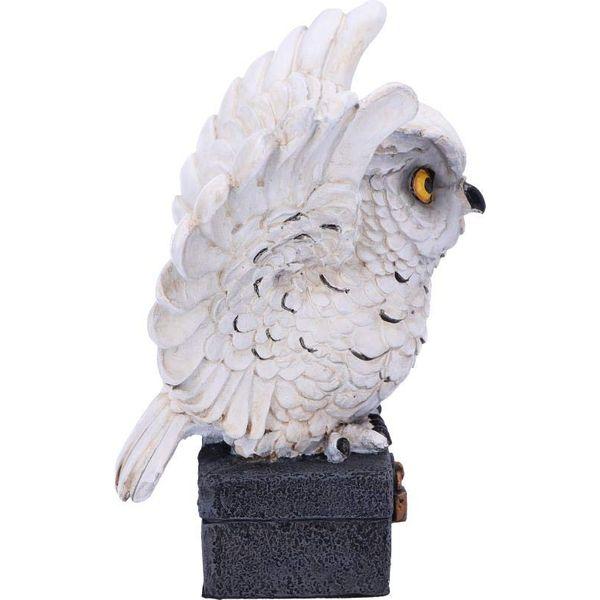 Nemesis Now Archimedes White Horned Owl Perched on a Locked Box Figurine, 12.5cm 3