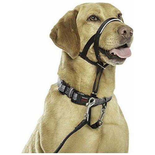 Halti Head Collar, Head Halter Collar for Dogs, Head Collar to Stop Pulling for Small Dogs 1