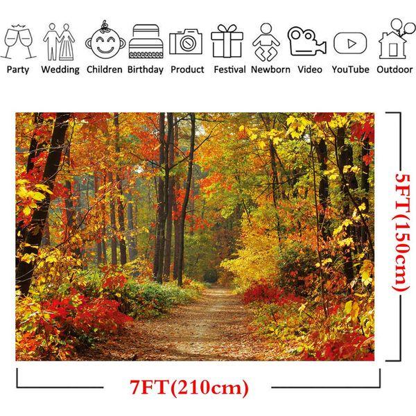 LYWYGG 8x6FT Autumn Backgroud Mountain Path Fallen Leaves Deciduous Landscape Autumn Backdrops Tree and Yellow Fall Leaves View Party Decorations Background Studio Props CP-67-0806 1