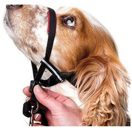 Halti Head Collar, Adjustable Head Halter Collar for Dogs, Head Collar to Stop Pulling for Small Dogs 2