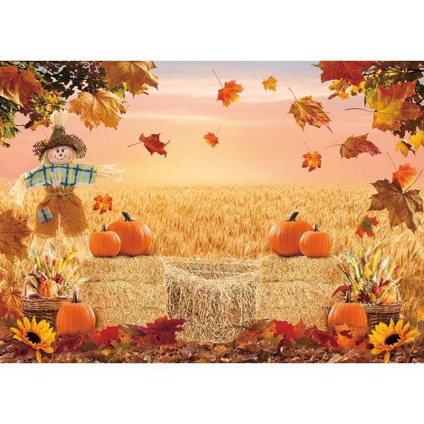 Autumn Photography Background Fall Harvest Barn Party Backdrop Pumpkin Maple Leaf Hay Wooden Decor Baby Shower Cake Table Banner Photo Display Stand (8x6ft) 3