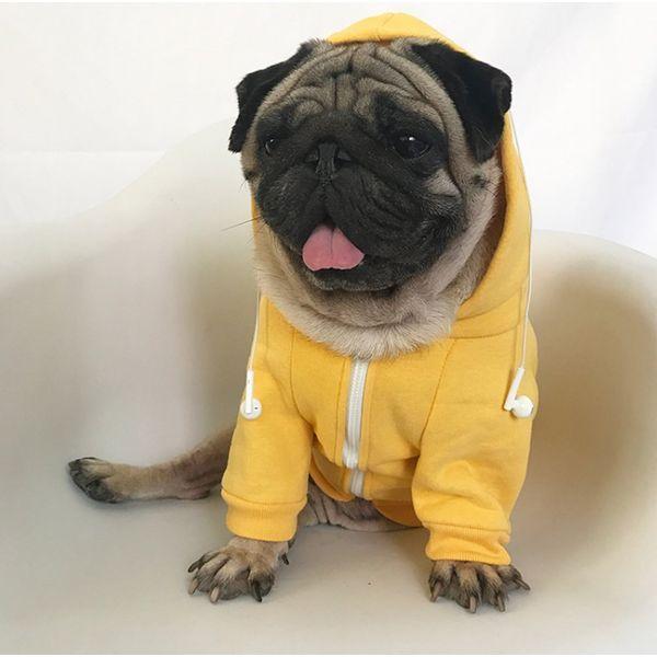 meioro Zipper Hooded Pet Clothing Dog Cat Clothes Cute Pet Clothing Warm Hooded French Bulldog Pug Siberian Husky Collie(5XL, Yellow) 1
