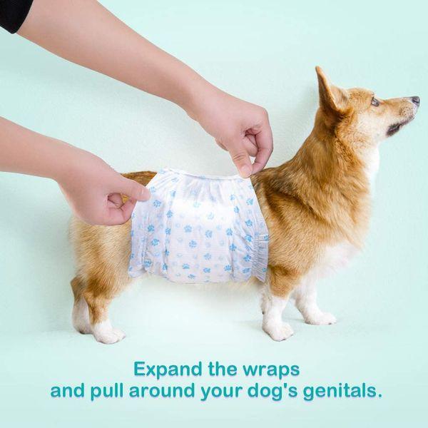 Pet Soft Male Dog Nappies - Disposable Pet Diapers Male Dog Wraps, Super Absorbent Doggy Puppy Nappies for Dogs & Cats Urinary incontinence XS 36count (XS 12count (6'-13')) 1