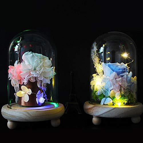 Warmiehomy Glass Cloche Bell Jar Dome with Wood Base + Lights (With colorful light, 12x20cm) 2