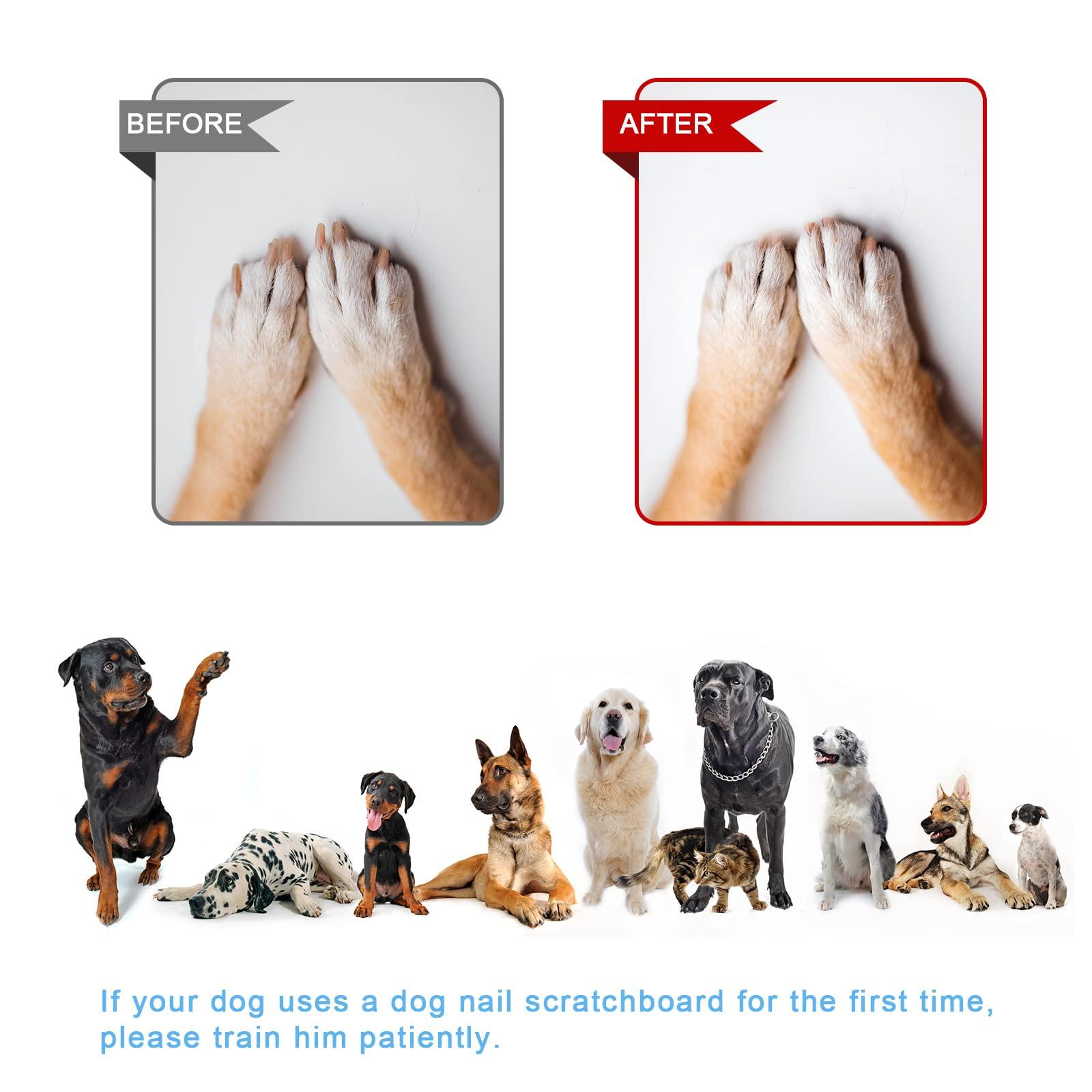 LUTER Dog Scratch Pad for Nails, Double Sided Scratch Board for Dogs Nail File Stress Free Scratching Mat Toy Dog Nail Clippers for Pets Nail Care 4