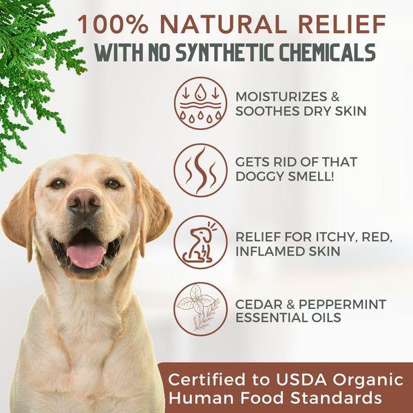 4-Legger Certified Organic Dog Shampoo with Conditioner - All Natural Antibacterial and Antifungal, with Cedar Peppermint Eucalyptus, and Aloe, Non-Toxic, Normal to Dry and Itchy Skin - USA - - 473 ml 2